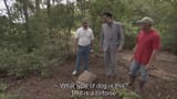 borat-linnaeus