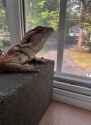 WanInterp_32_00018_thumb.jpg