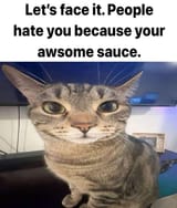 Lets face it