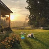 apusunset