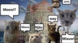Thread 106165642 OP Image