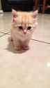 I2V_00014_thumb.jpg