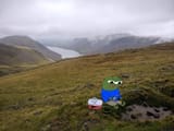 scottishpepe