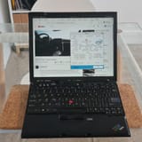 x61