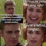 anakin_padme_enviro