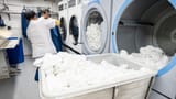 laundry workers