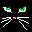 cat_facc