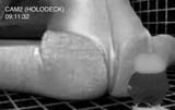 1752033947866535