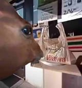 711bitch