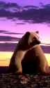 ComfyUI_00027__thumb.jpg