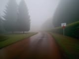 00000337-948197818013485-chroma_v49-pre-00001-deis_2m-mt