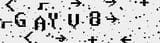 GAYV8