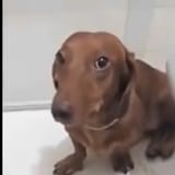 1732840661432907