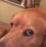 1746334575531448