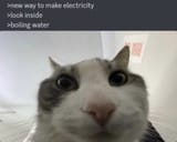 1727209813081546