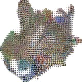 Activation_Atlas