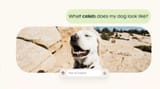 multi-trillion dollar usecase ai