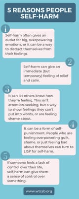 lisp 5 reasons people self harm