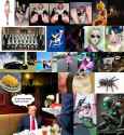 highlights_g_106197528_1754751649_thumb.jpg