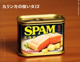 TJ_SE_SPAM_12