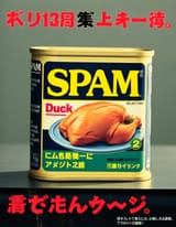 TJ_SE_SPAM_03