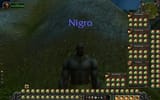 nigro