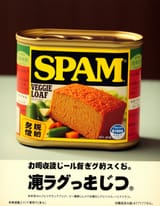 TJ_SE_SPAM_09~1