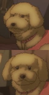 1730764475763551