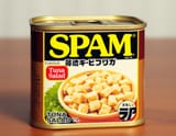 TJ_SE_SPAM_05~1