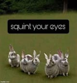 fu_rabbit