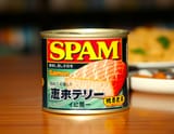 TJ_SE_SPAM_12