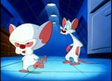Pinky-the-Brain-pinky-and-the-brain-7398821-660-480-920584404
