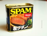 TJ_SE_SPAM_02~1