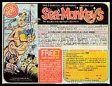 SEAMONKEYSAD