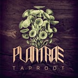 Plantrae - Taproot