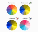 color-blind-friendly-palette-13