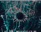05 desktop 1-17-05