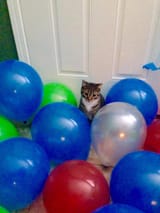 sad party
