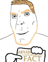 aryanfact