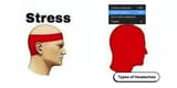 Thread 460377 OP Image