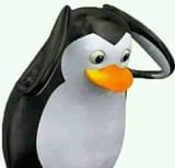 Thread 460552 OP Image