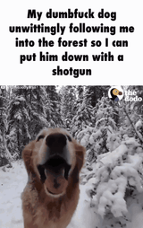 dumbfuck-dog