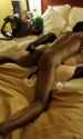 trying for a baby (3)_thumb.jpg
