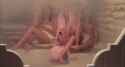 Bolero 1984 Olivia D&#039;Abo Bo Derek_thumb.jpg