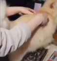 1726963747926923_thumb.jpg