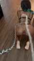 @VideoToGifConverterBot_thumb.jpg