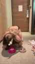 Little Cute Sissy Doggy Eating And Drinking With A Dog Bowl Sissy8128 1080P_thumb.jpg