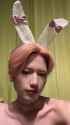 chinese bitch boy yvon bunny_thumb.jpg