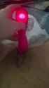 1000013680_thumb.jpg