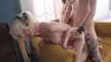tiny_5_480p_thumb.jpg